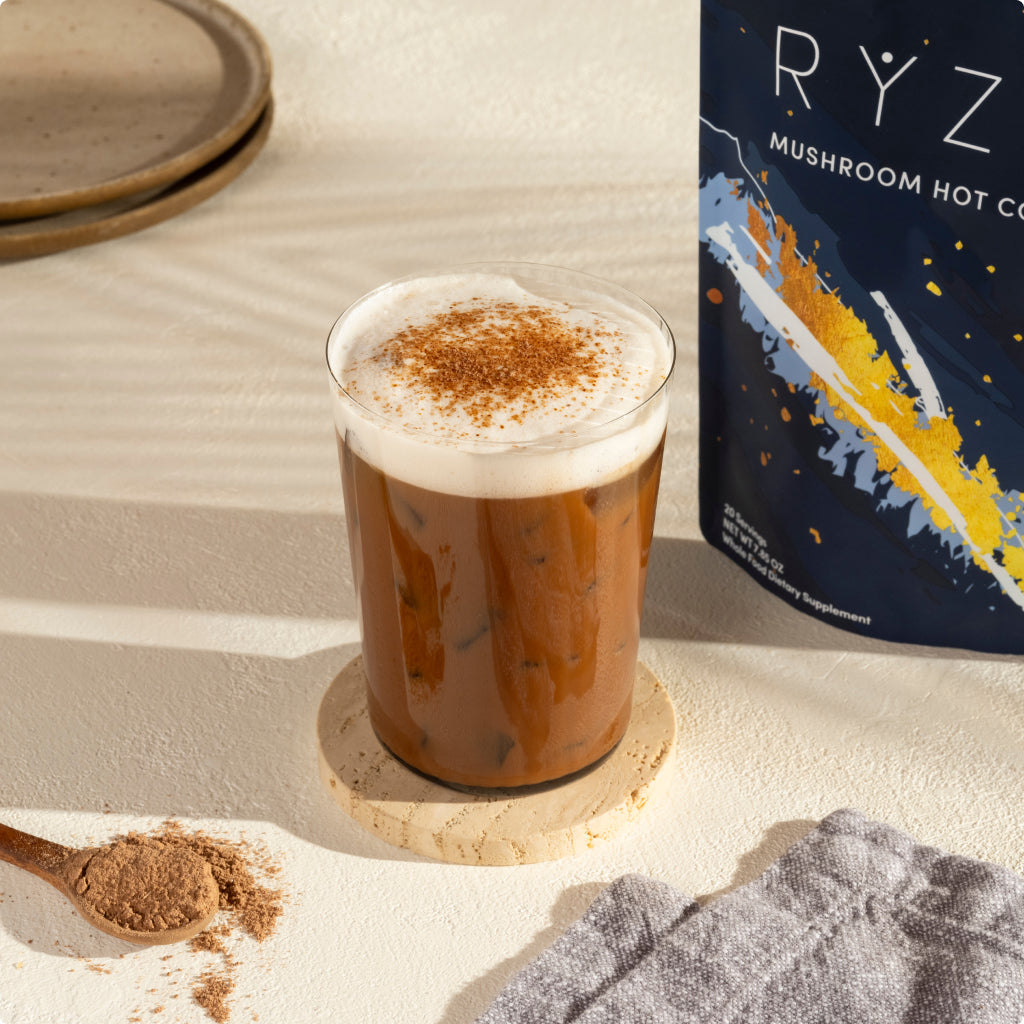 Nighttime Mushroom Cocoa Starter Bag R8