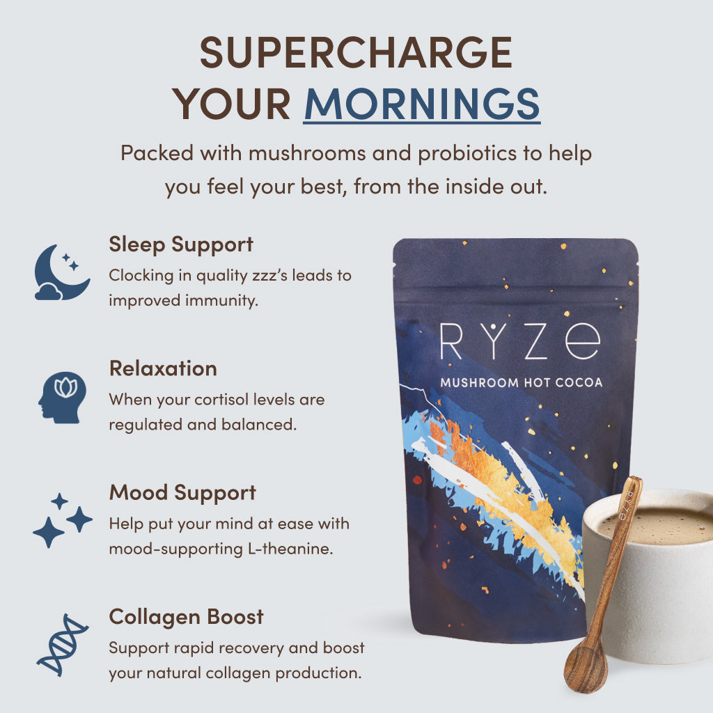 Nighttime Mushroom Cocoa Starter Bag R8