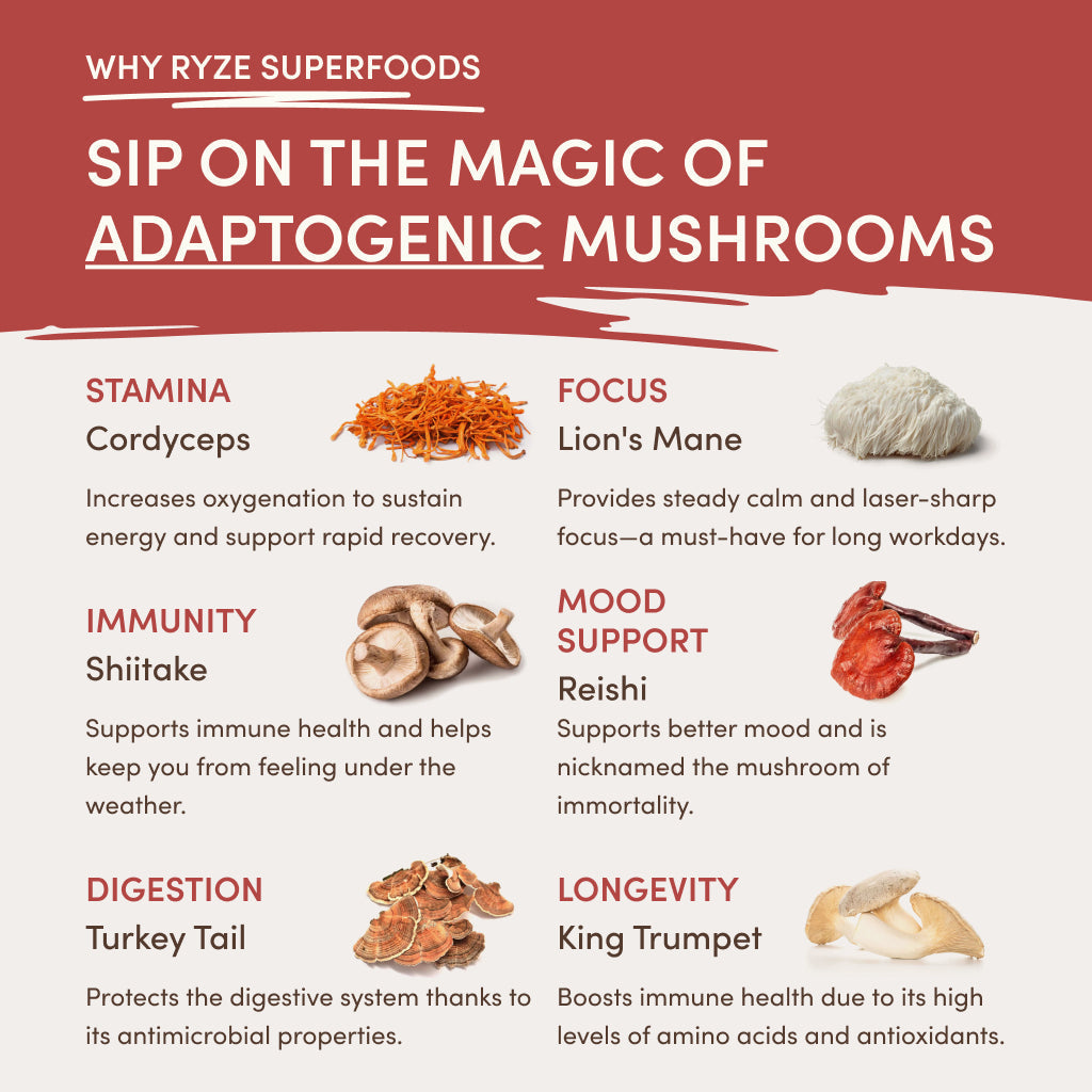Mushroom Chai Starter Bag K6