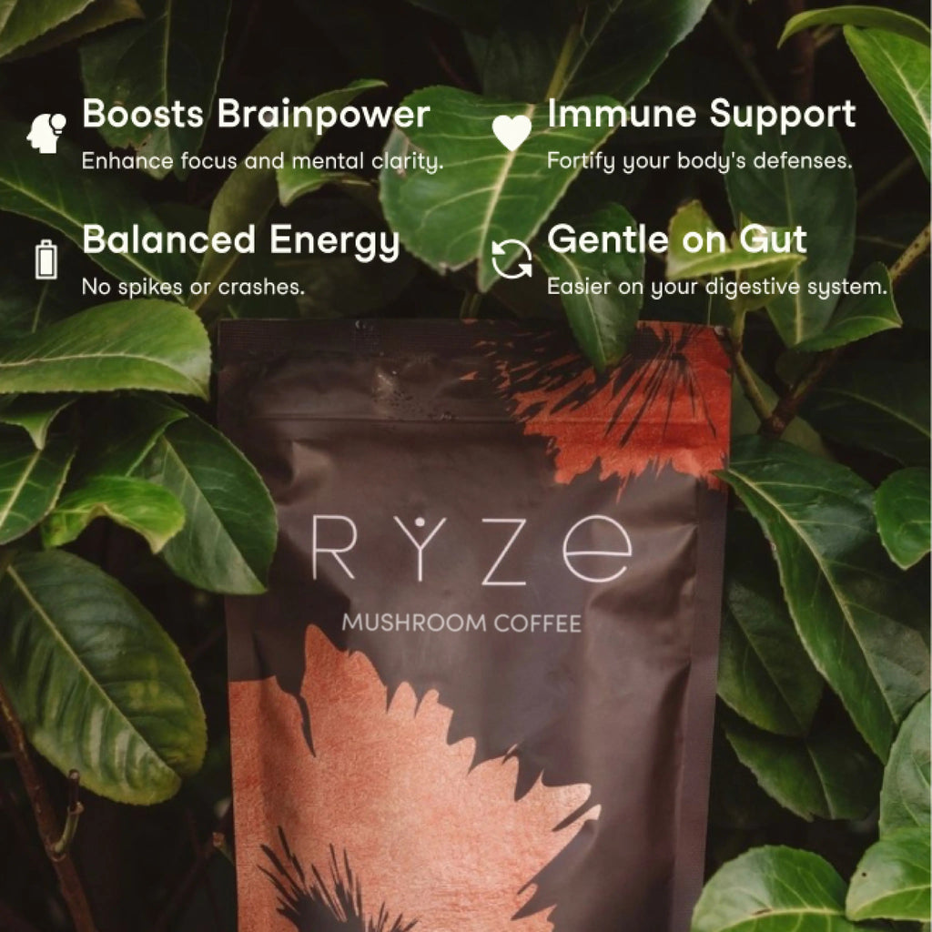 Mushroom Coffee — Organic Instant Coffee with Cordyceps & Reishi, 30 Servings G5