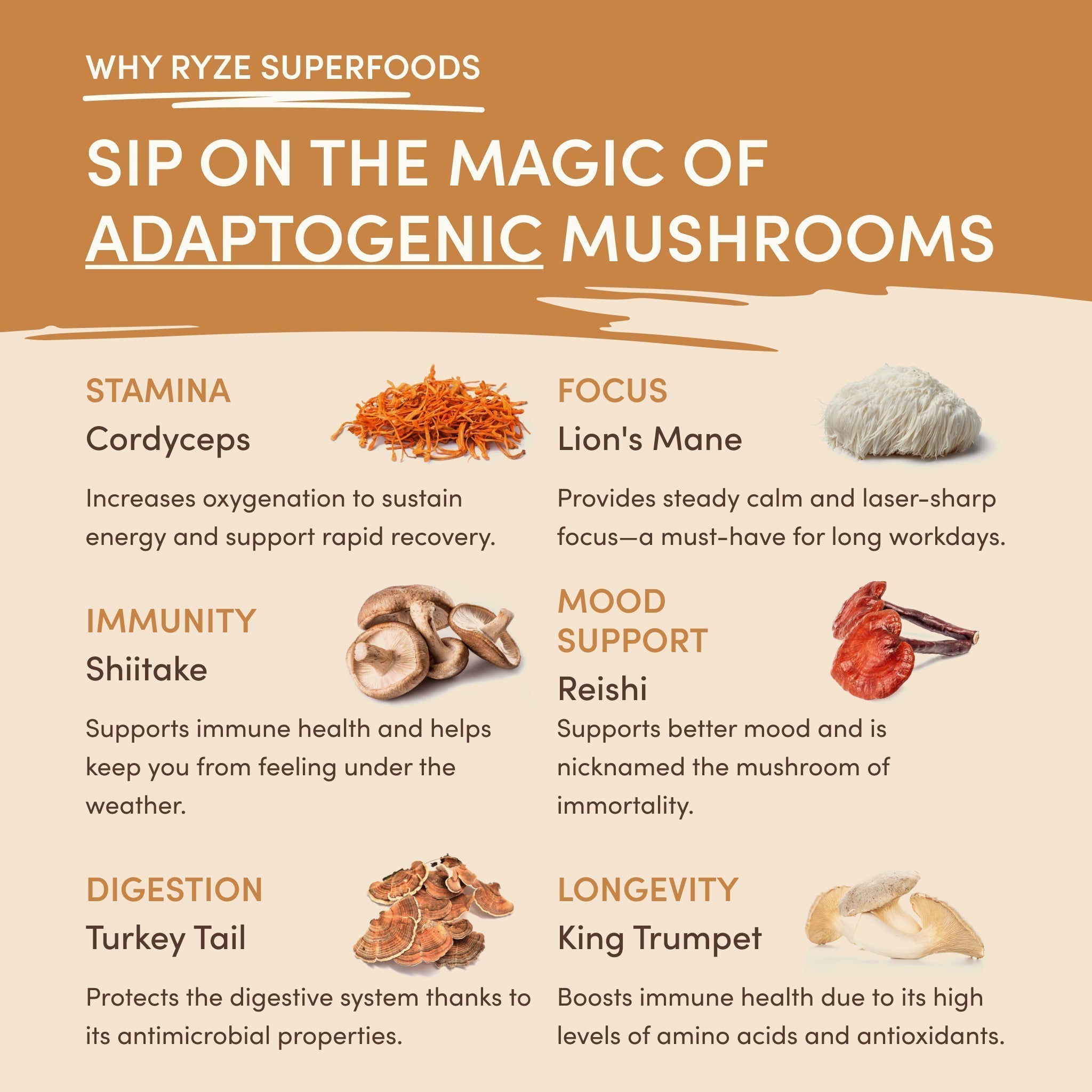 Mushroom Overnight Oats (14 Servings) N8