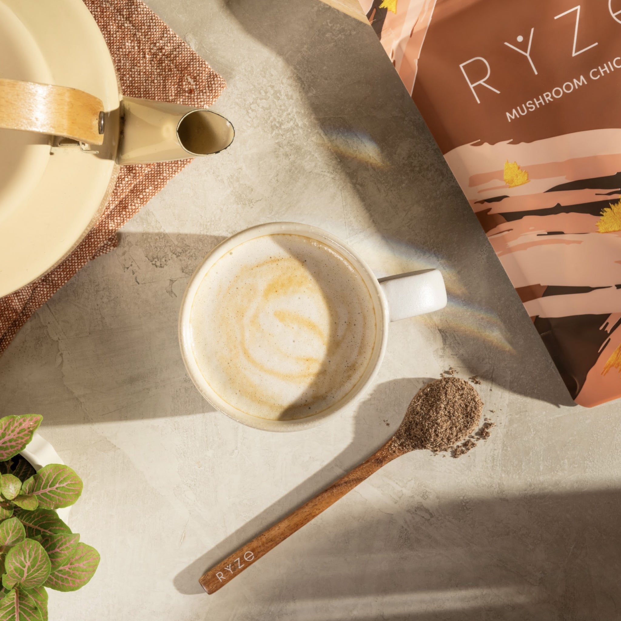 Mushroom Chicory (30 Servings) Z6