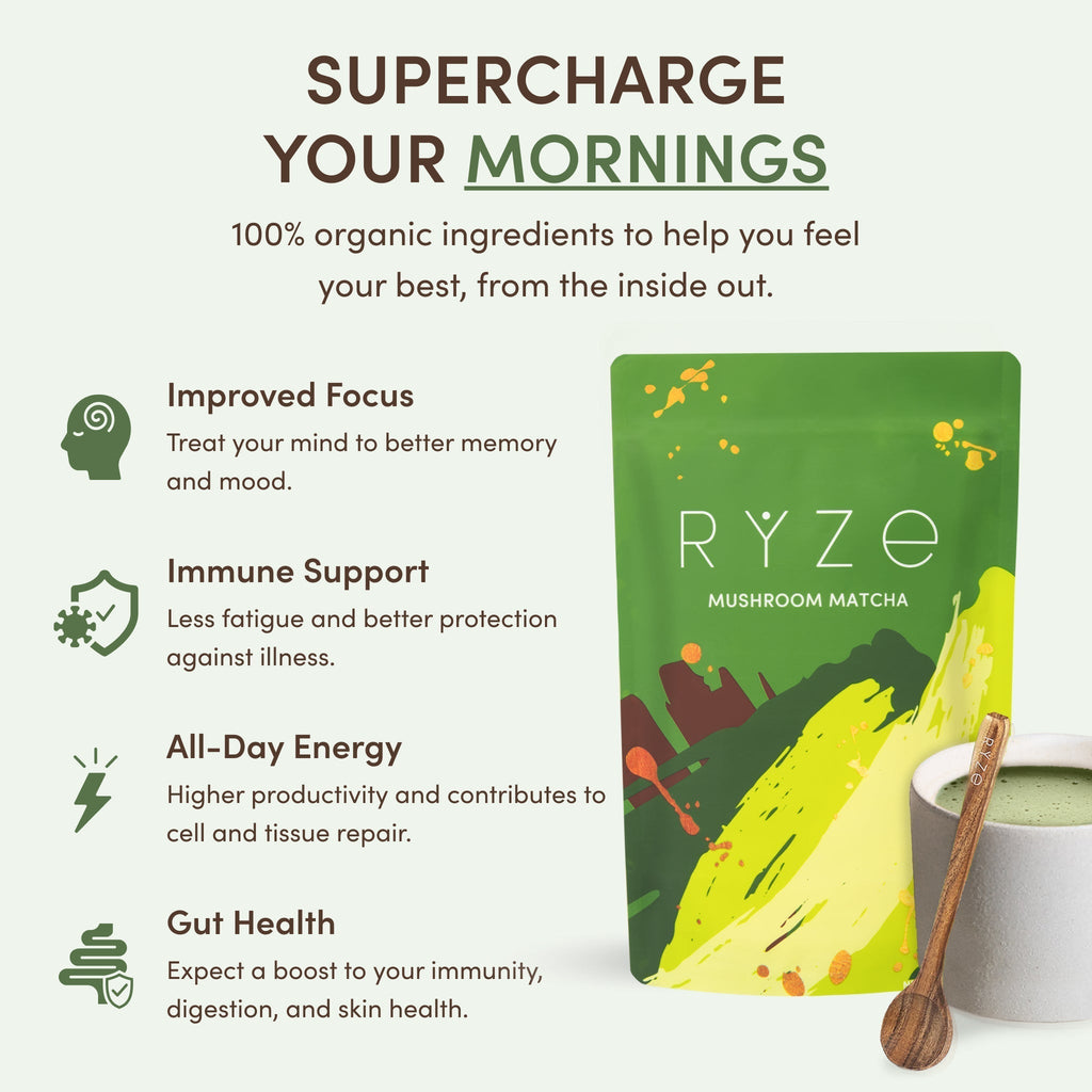 Mushroom Matcha — Organic Instant Matcha Latte with Lion's Mane & King Trumpet, 30 Servings B7