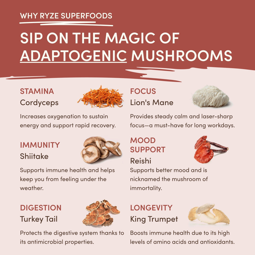 Mushroom Chicory (30 Servings) Z6