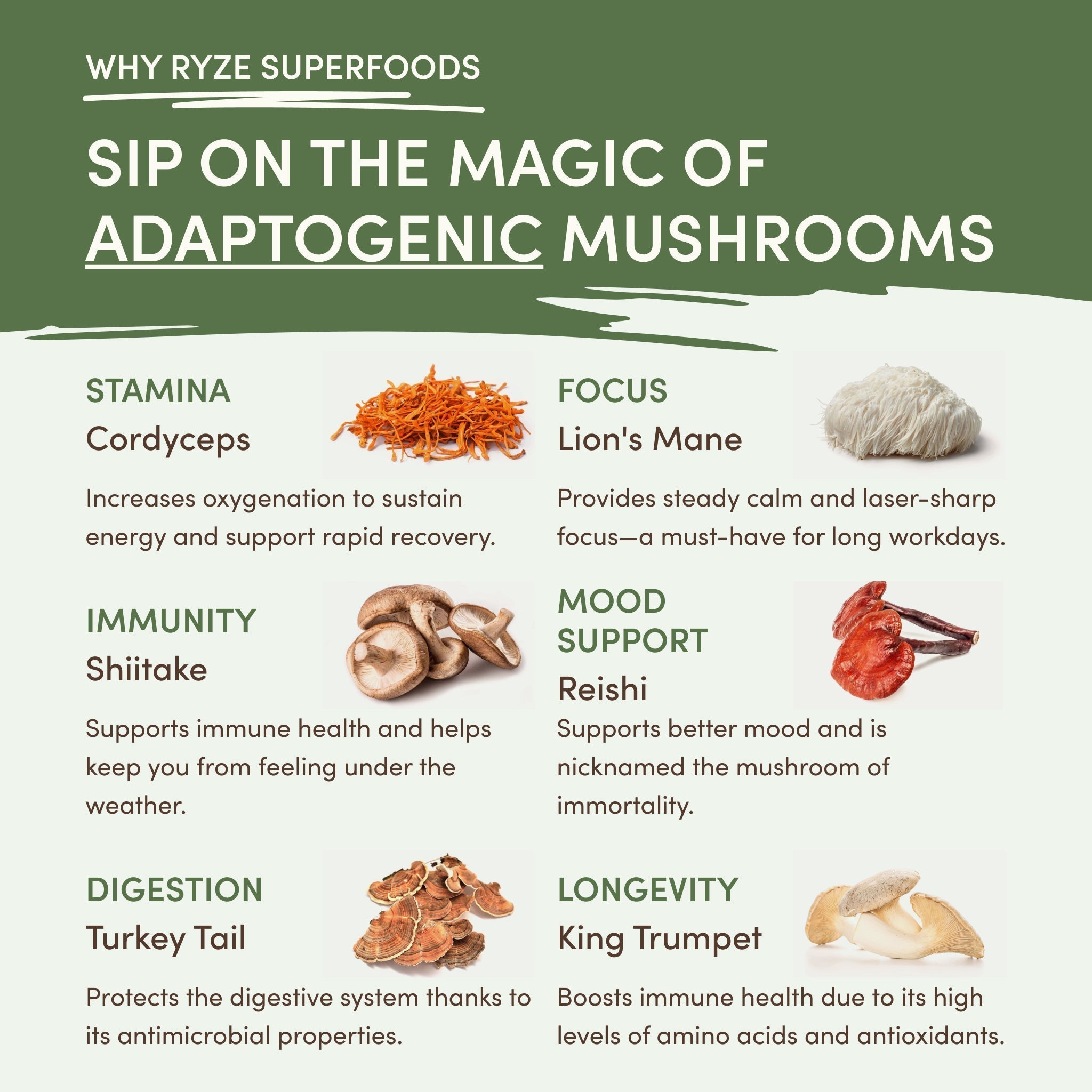 Mushroom Matcha — Organic Instant Matcha Latte with Lion's Mane & King Trumpet, 30 Servings B7
