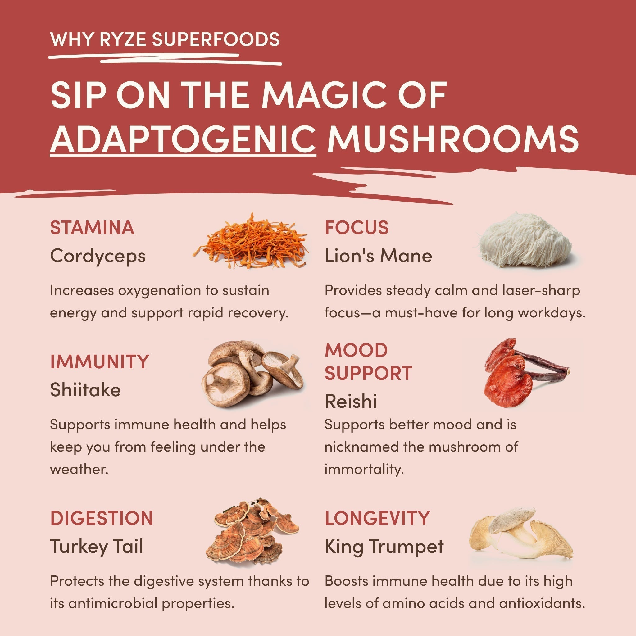 Mushroom Chai — Organic Instant Chai with Reishi & Organic Black Tea, 20 Servings S1
