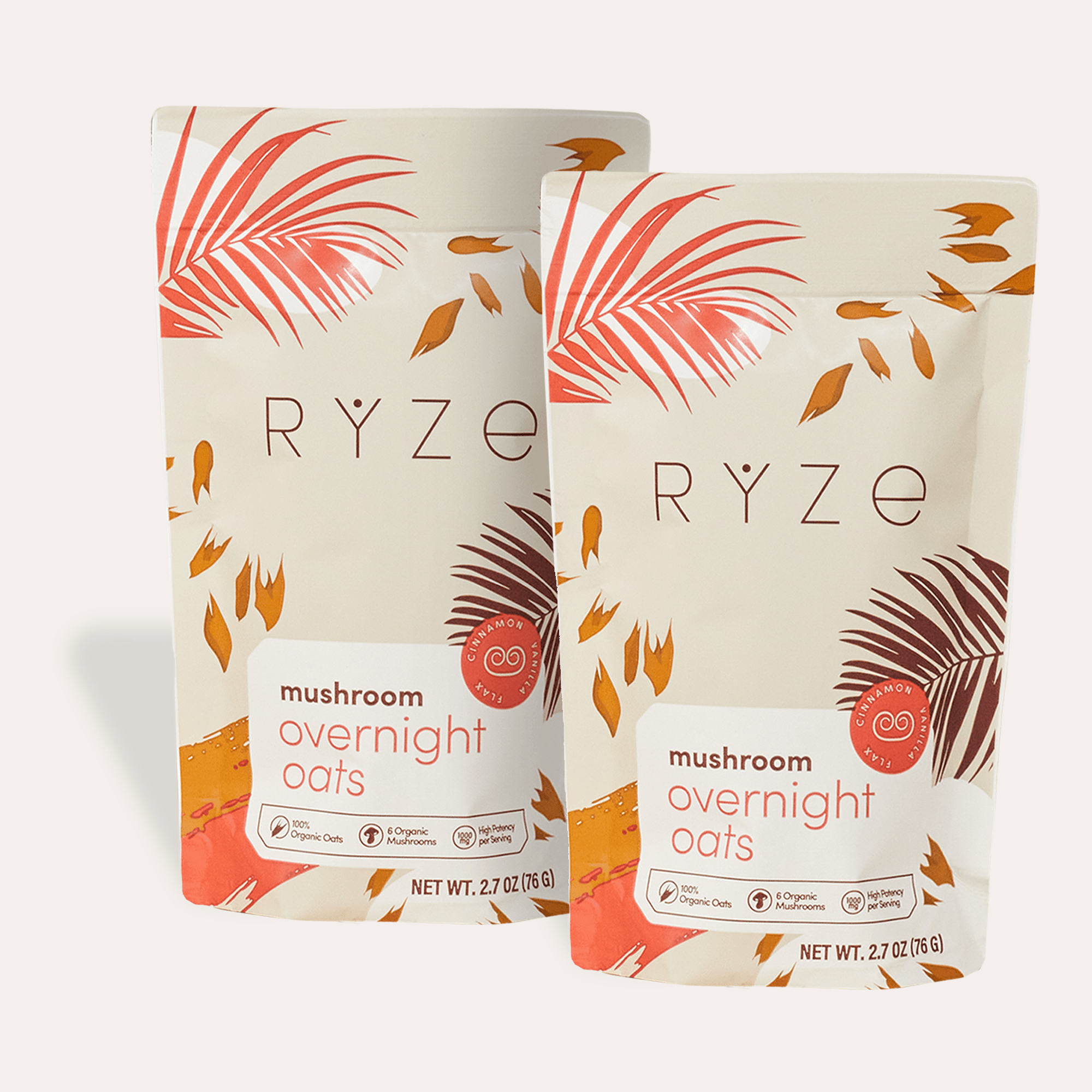 Mushroom Overnight Oats Pack (28 Servings) I3