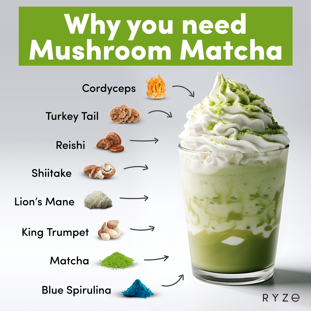 Mushroom Matcha - with 6 Organic Adaptogenic Mushrooms Grown In USA and Ceremonial-Grade Japanese Matcha K1
