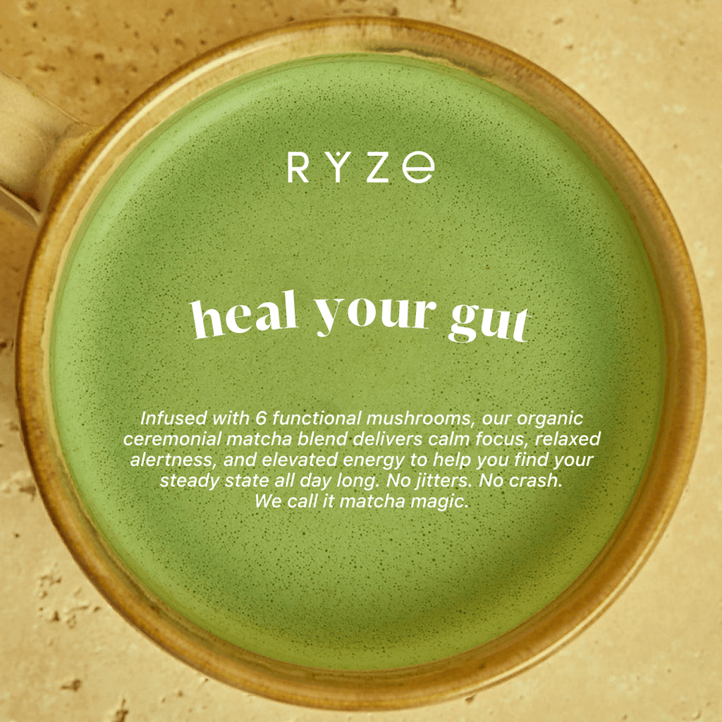 Mushroom Matcha - with 6 Organic Adaptogenic Mushrooms Grown In USA and Ceremonial-Grade Japanese Matcha K1