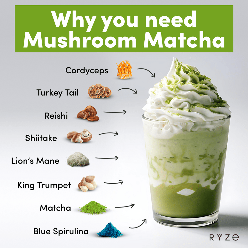 Organic Mushroom Matcha Starter Kit (60 servings) I4