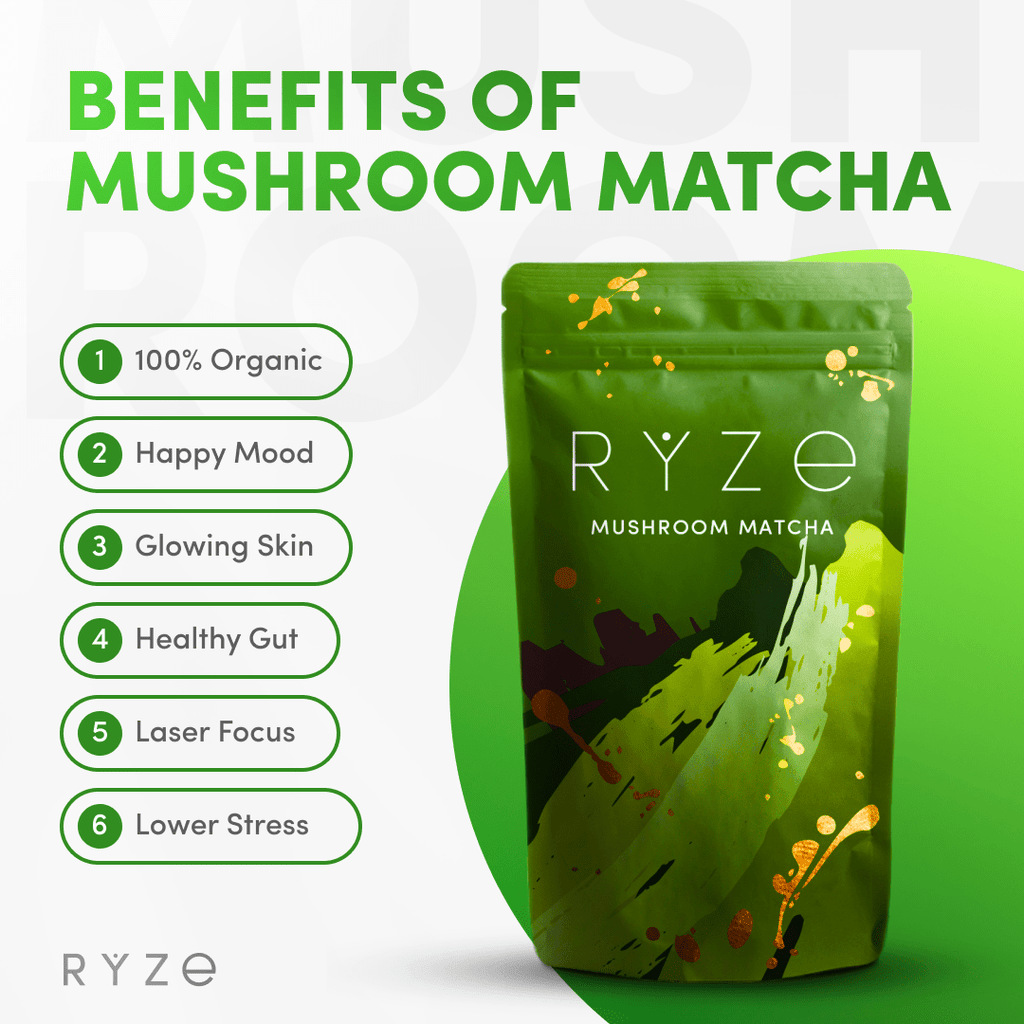 Organic Mushroom Matcha Starter Kit (60 servings) I4